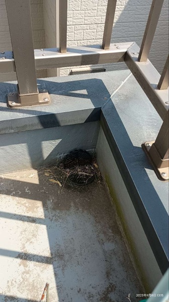 中野区-M様邸-ベランダ防水-施工前