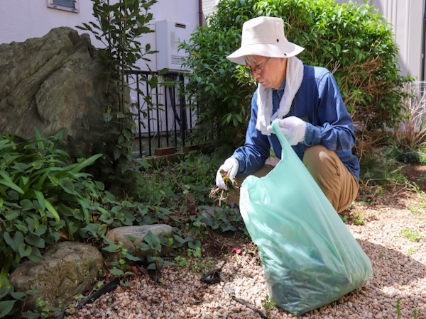 庭の雑草を手作業で除去している様子 手入れの手間がかかる作業風景