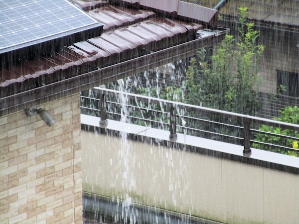 強い雨で雨樋付近から水があふれる様子